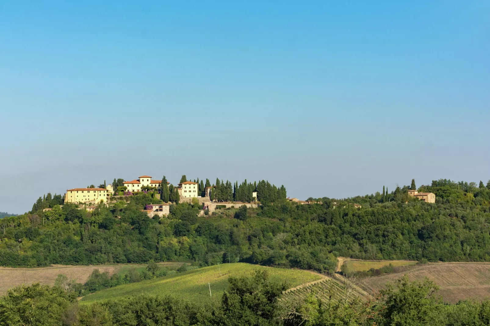 Il Querceto Prima-Gebieden zomer 20km