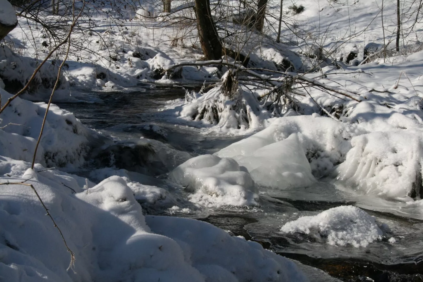 Alte Mühle-Gebied winter 1km