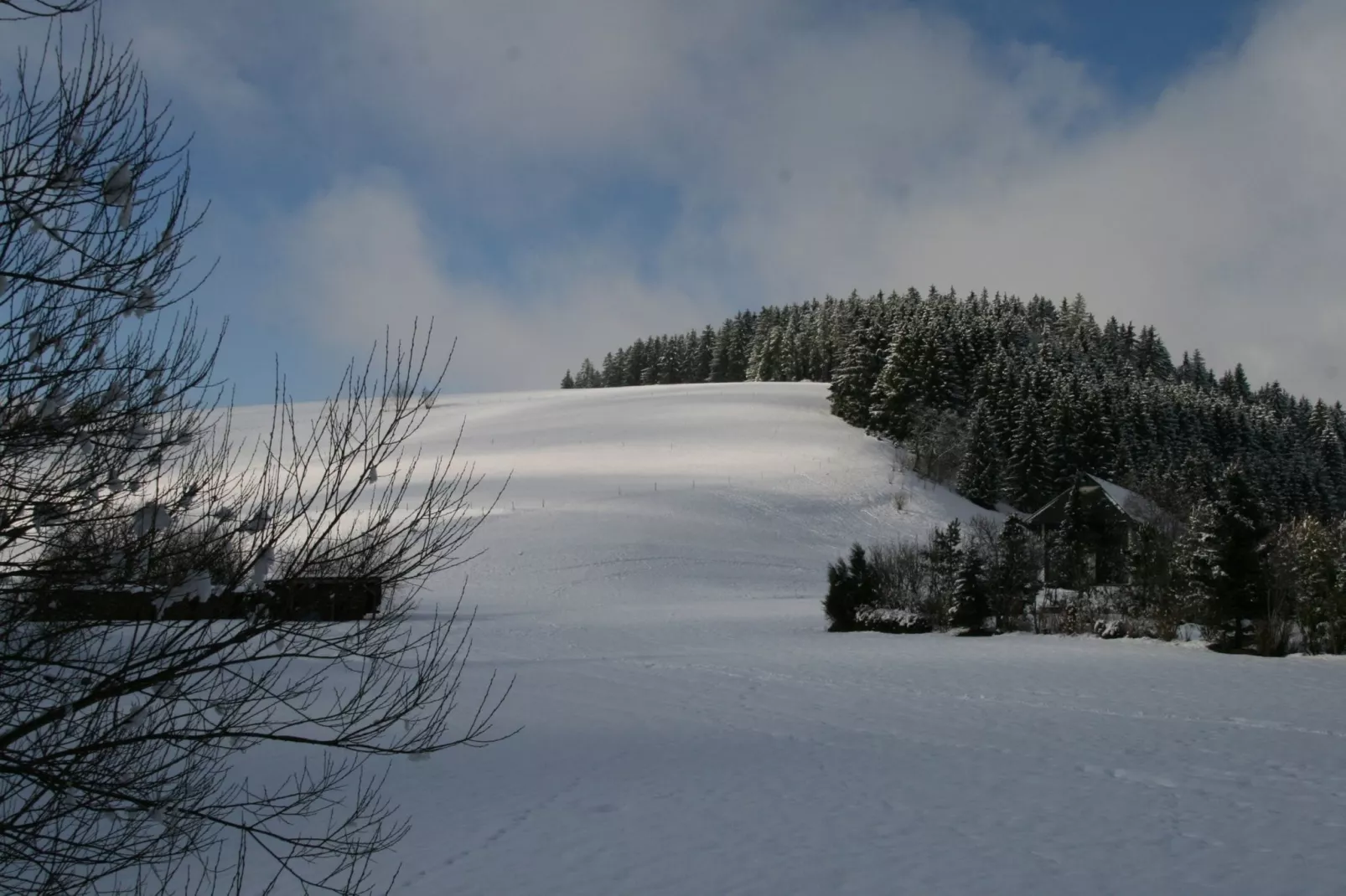 Alte Mühle-Gebied winter 5km