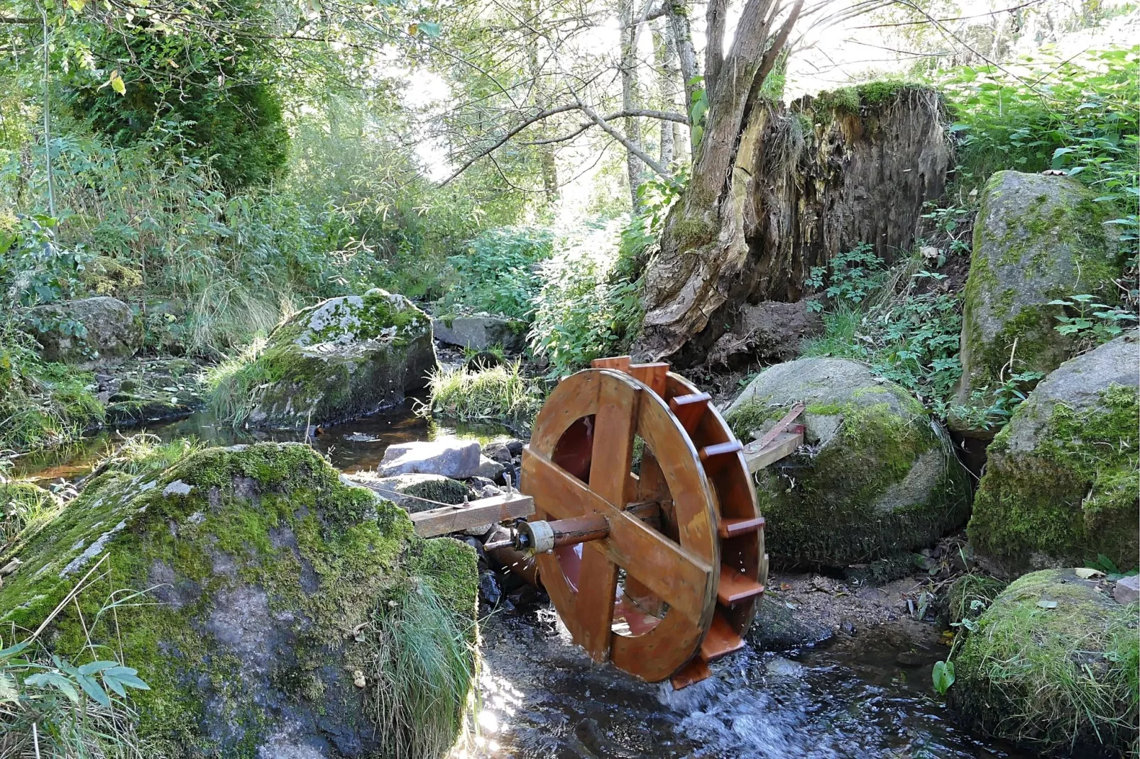 Alte Mühle-Tuinen zomer