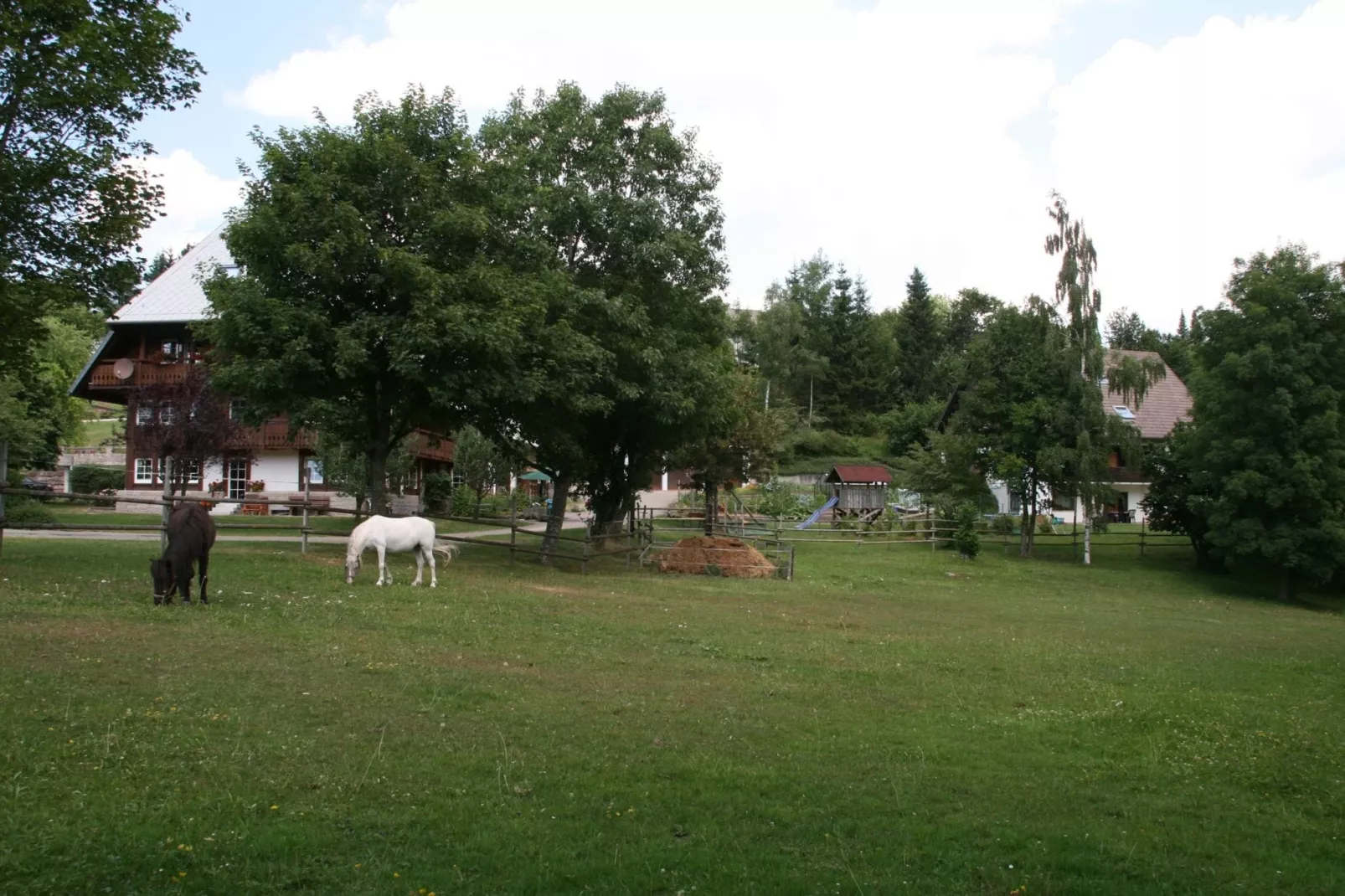 Alte Mühle-Gebieden zomer 1km