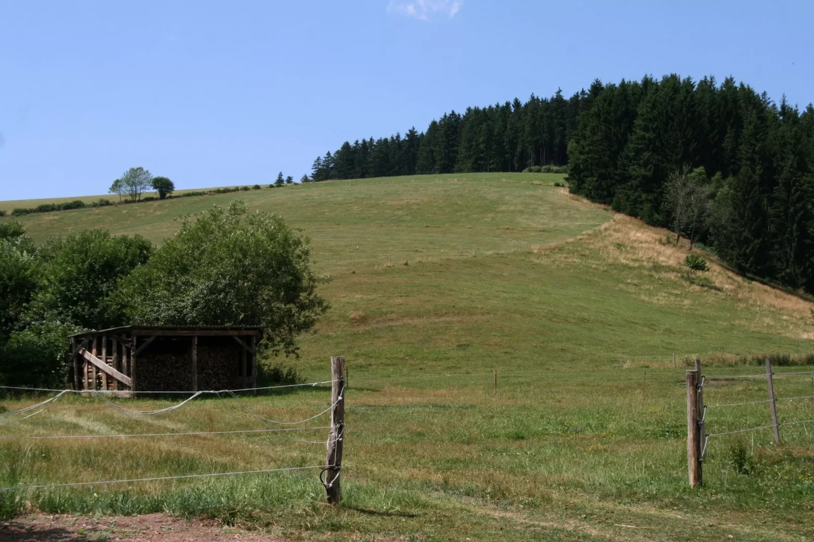 Alte Mühle-Gebieden zomer 1km