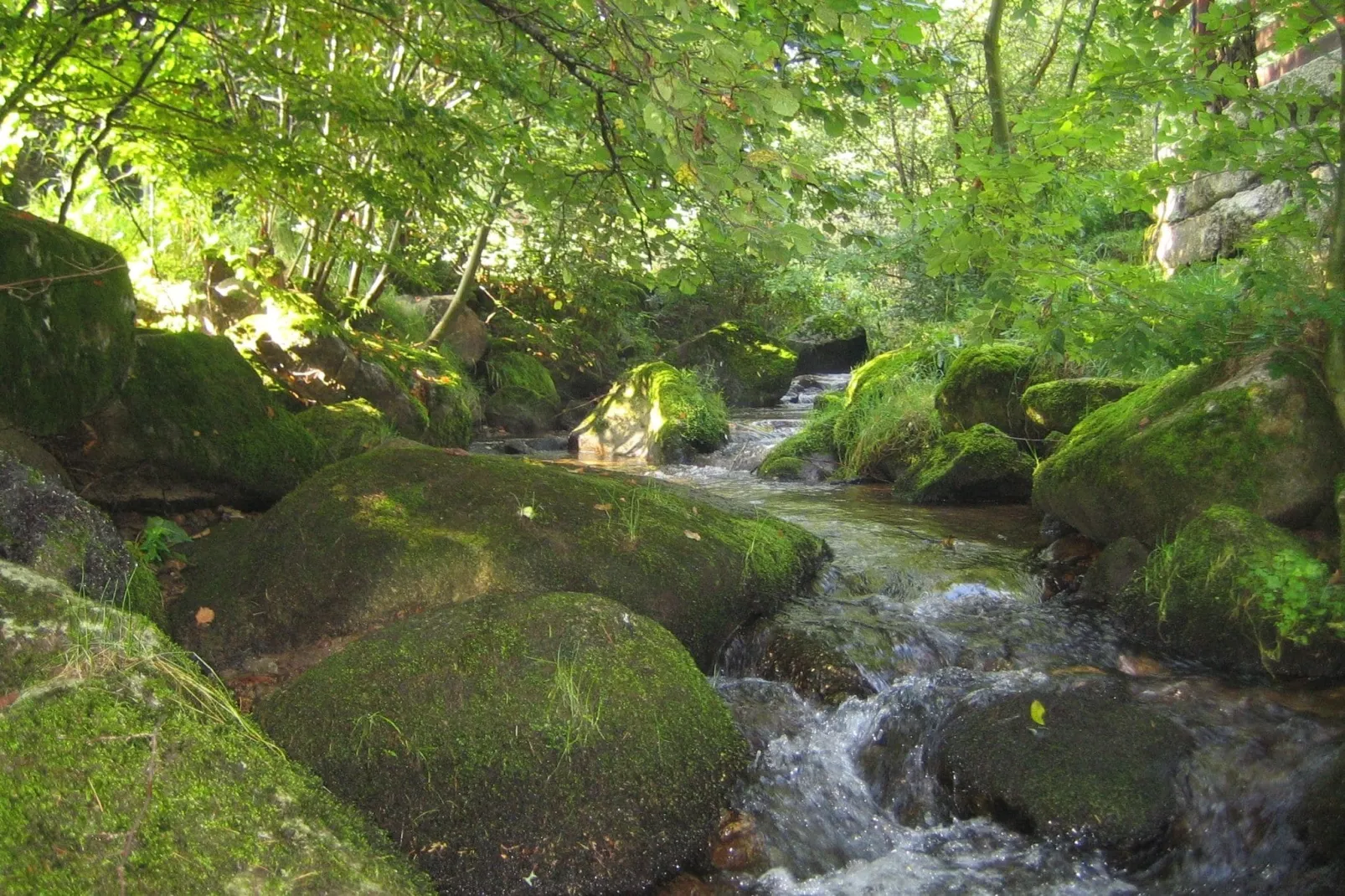 Alte Mühle-Gebieden zomer 5km