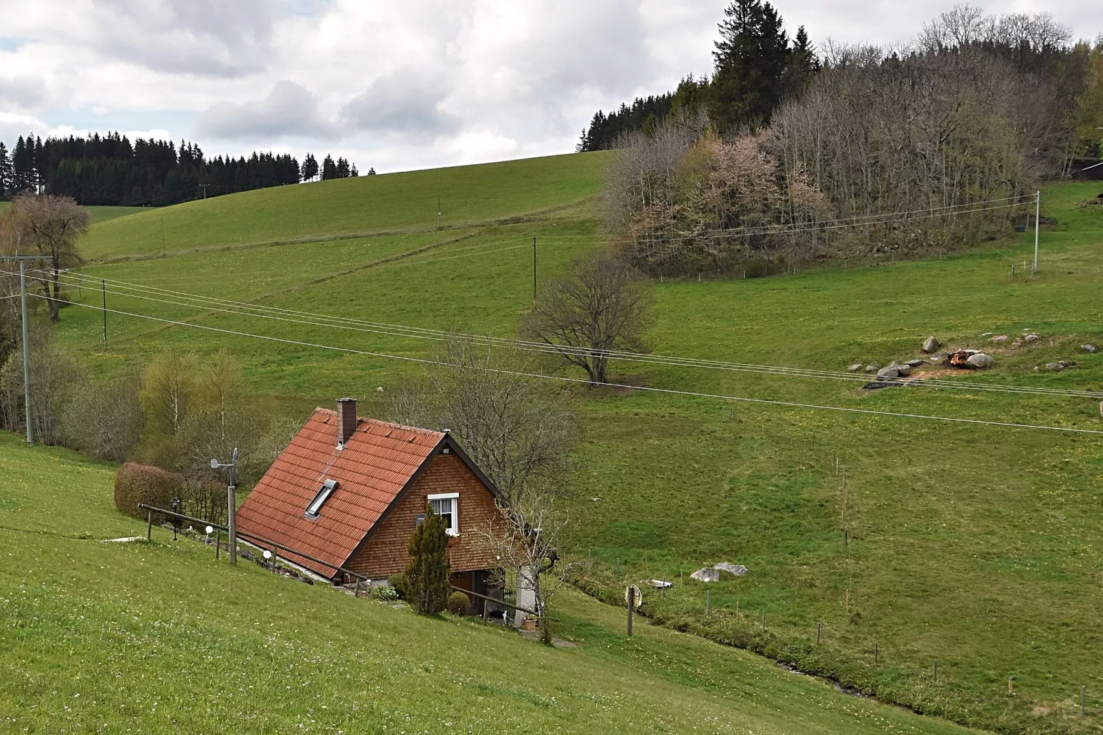 Schwarzwald-Buitenkant zomer