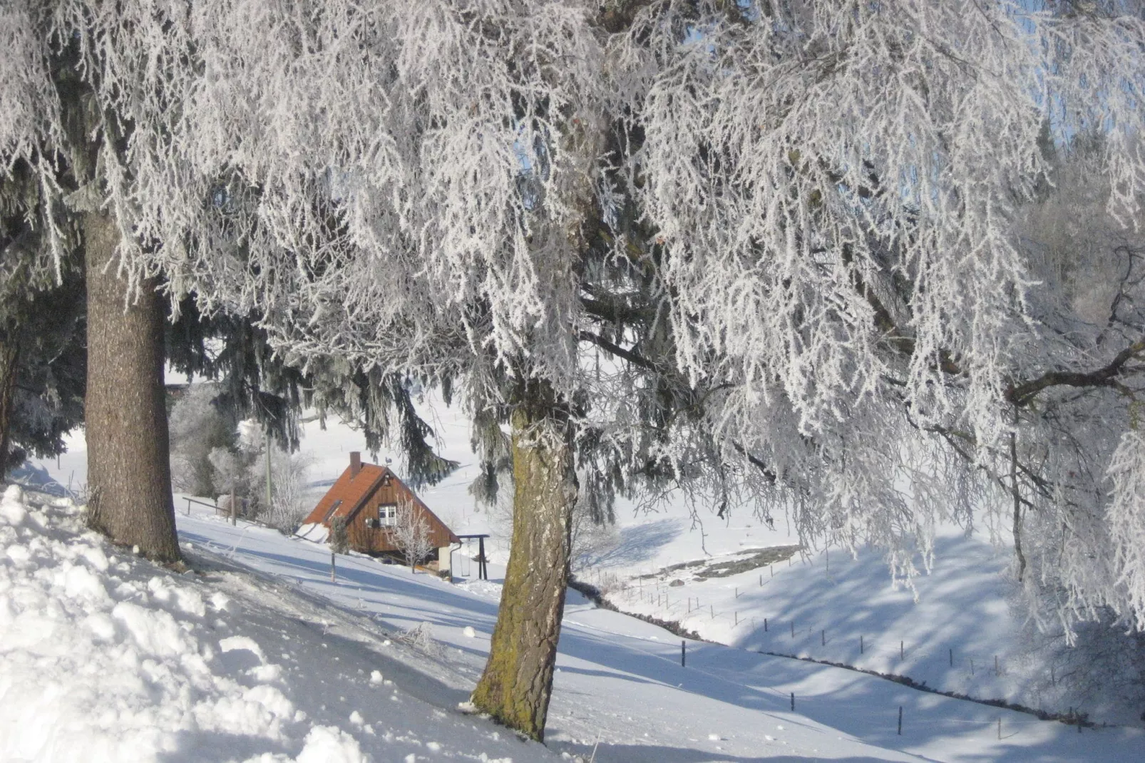 Schwarzwald-Exterieur winter