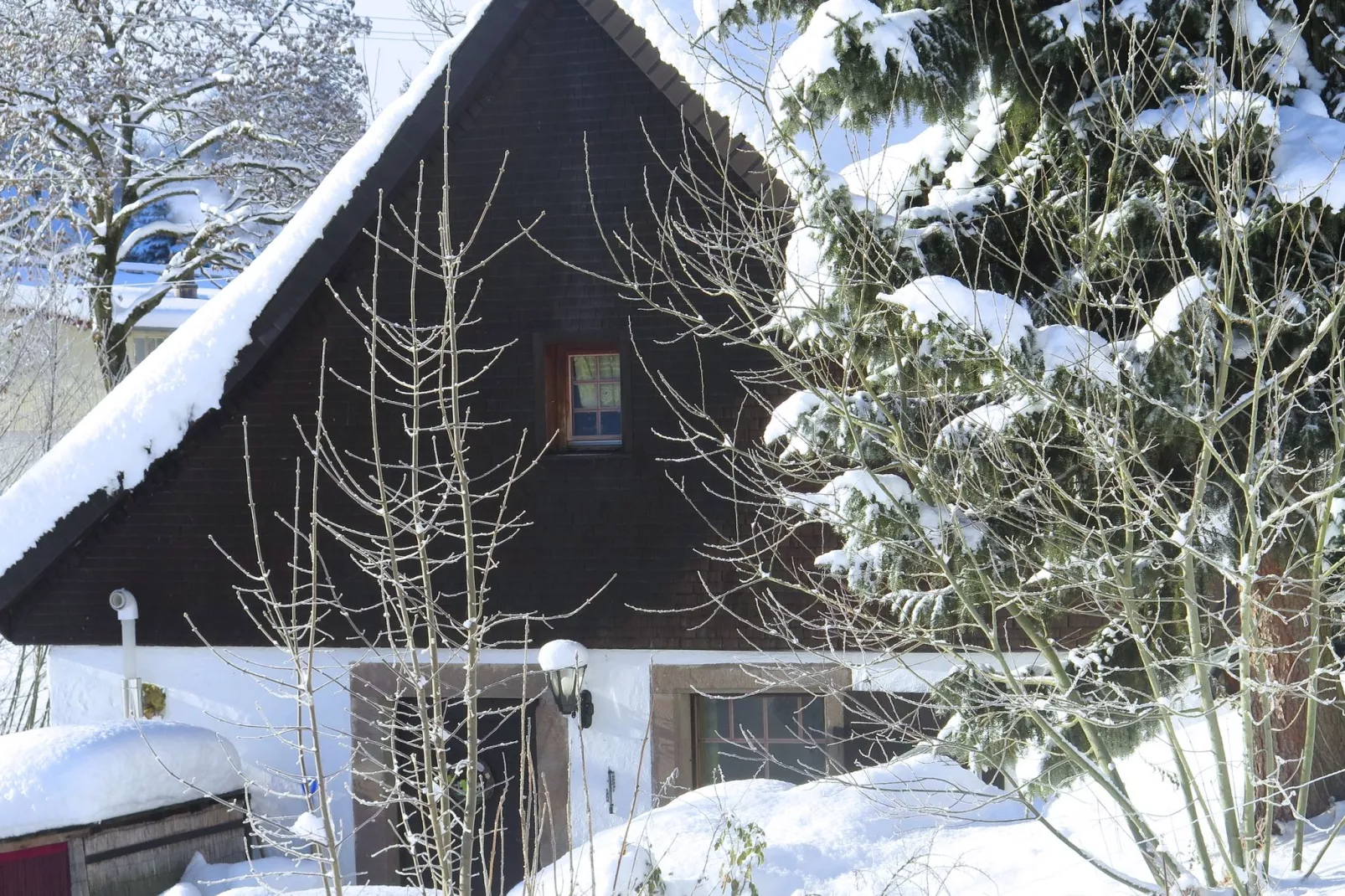 Brigachmühle-Exterieur winter