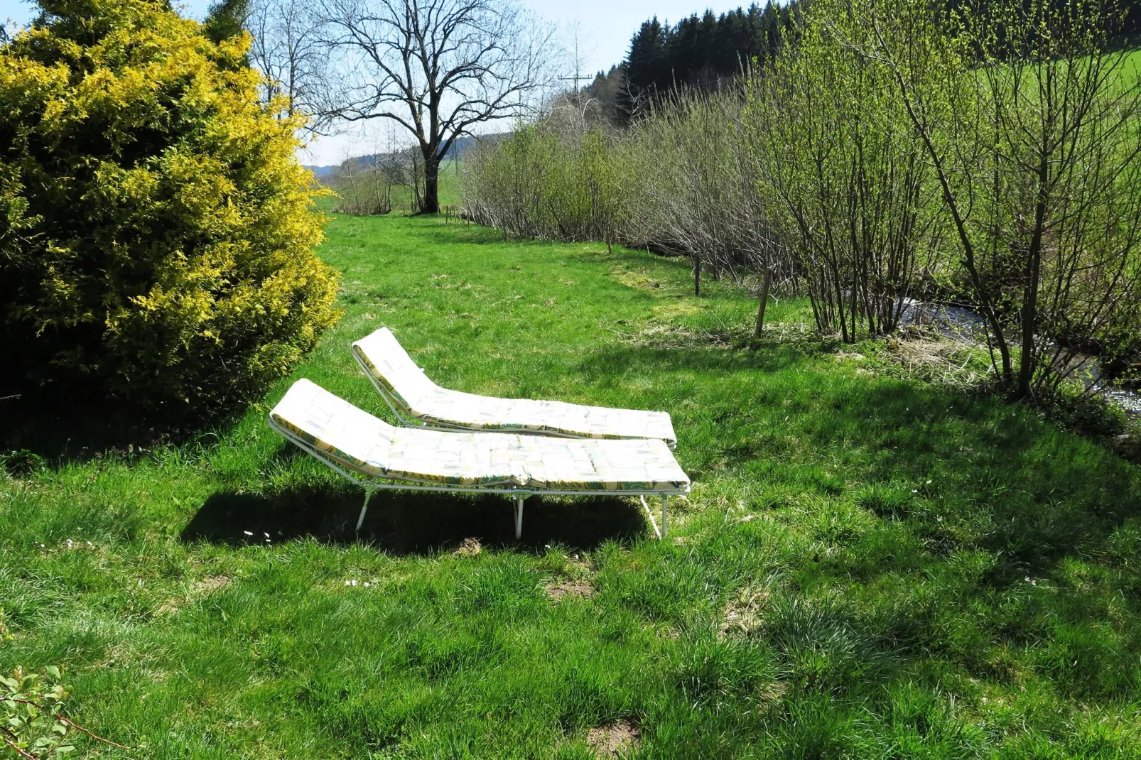 Brigachmühle-Tuinen zomer