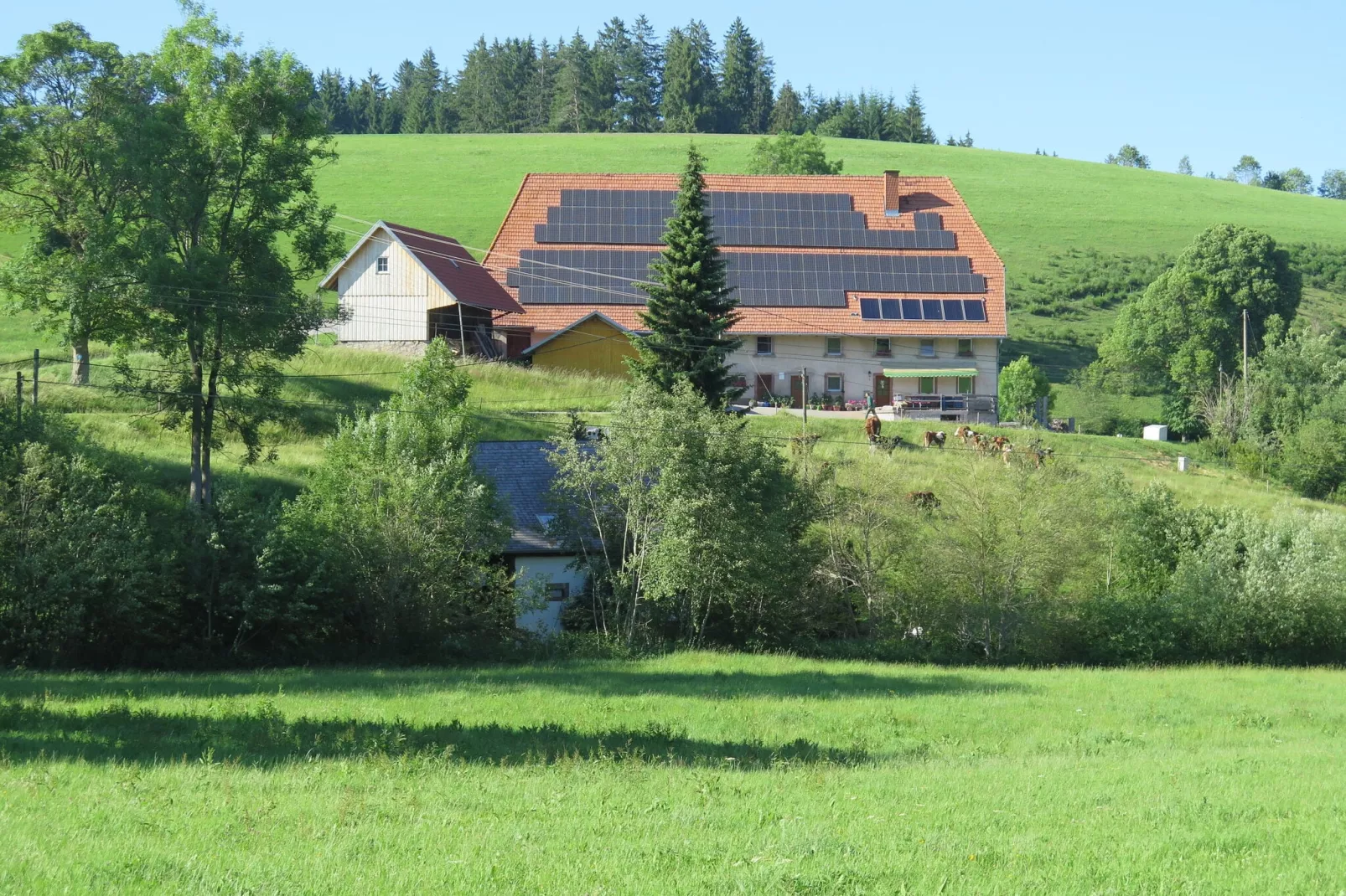 Brigachmühle-Buitenkant zomer