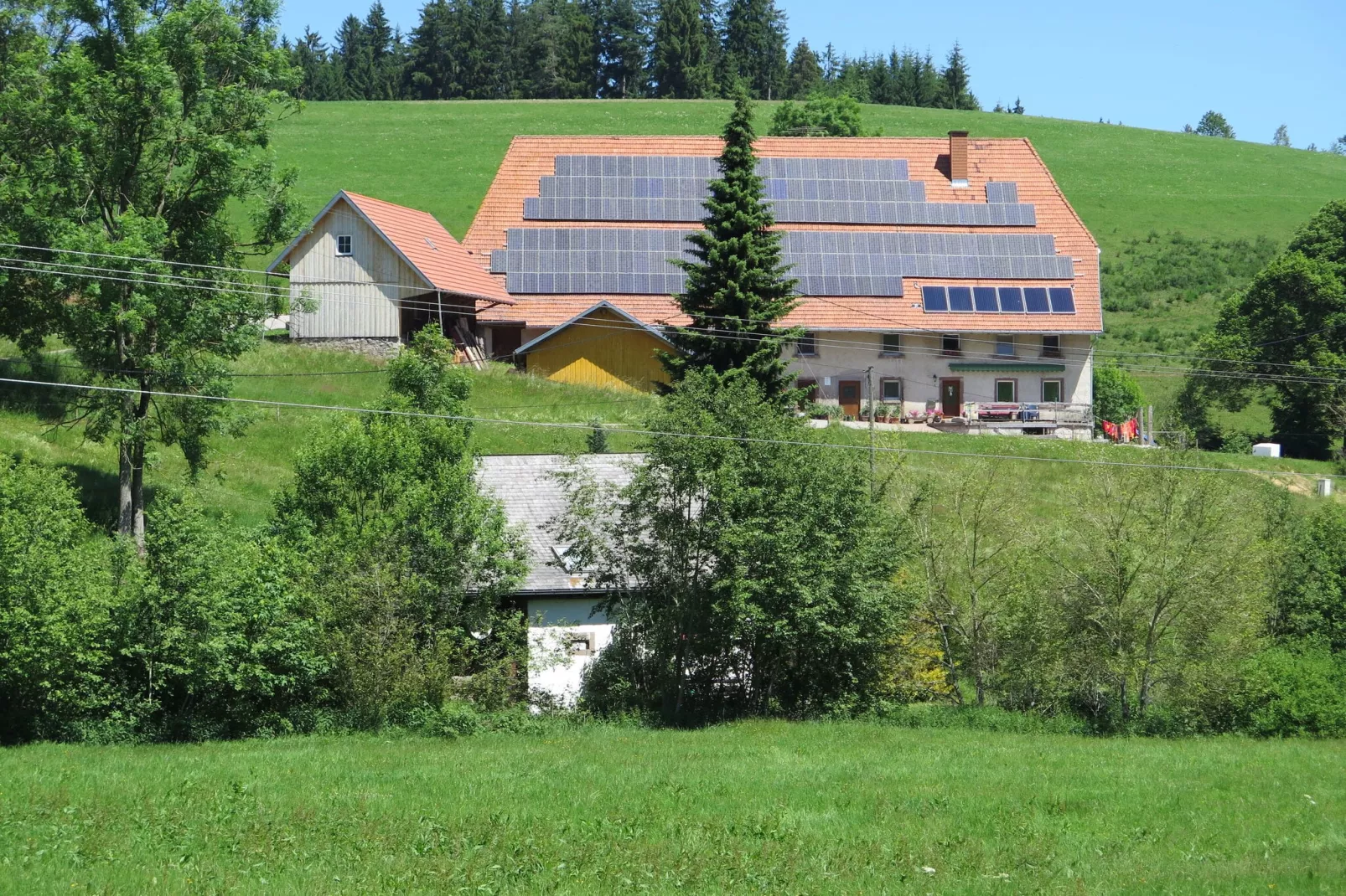 Brigachmühle-Buitenkant zomer