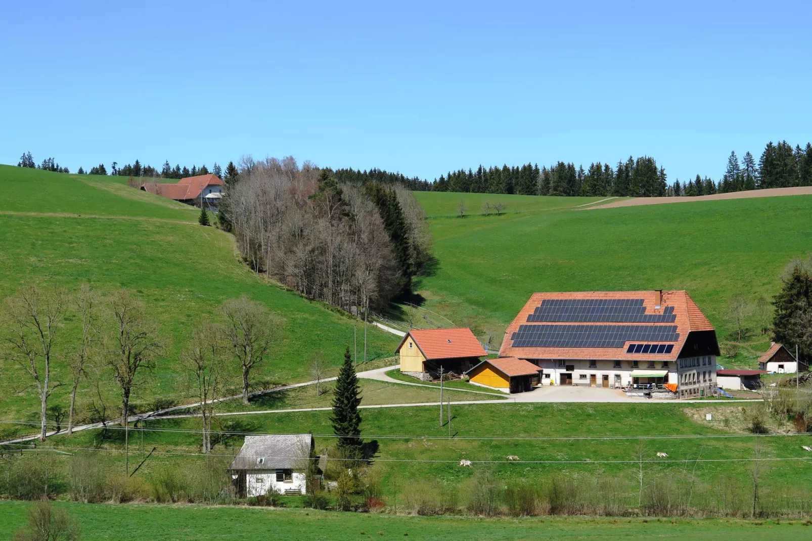 Brigachmühle-Gebieden zomer 1km