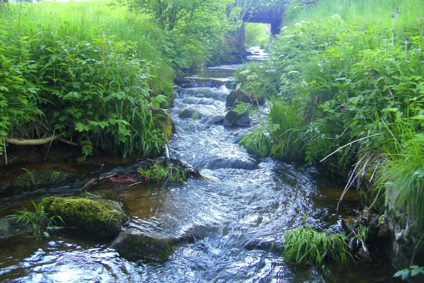 Brigachmühle-Gebieden zomer 1km