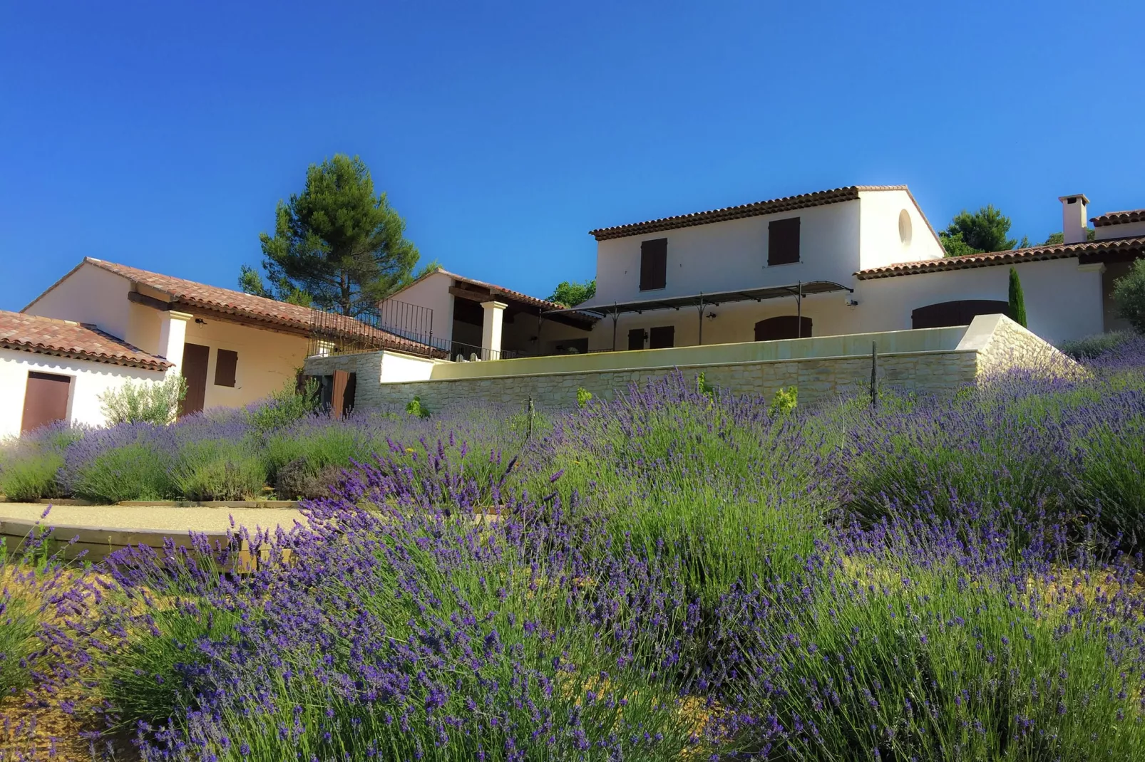 La Colline de Rêve plus 4 gîtes-Tuinen zomer