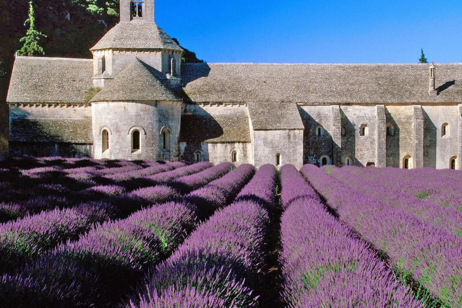 La Colline de Rêve