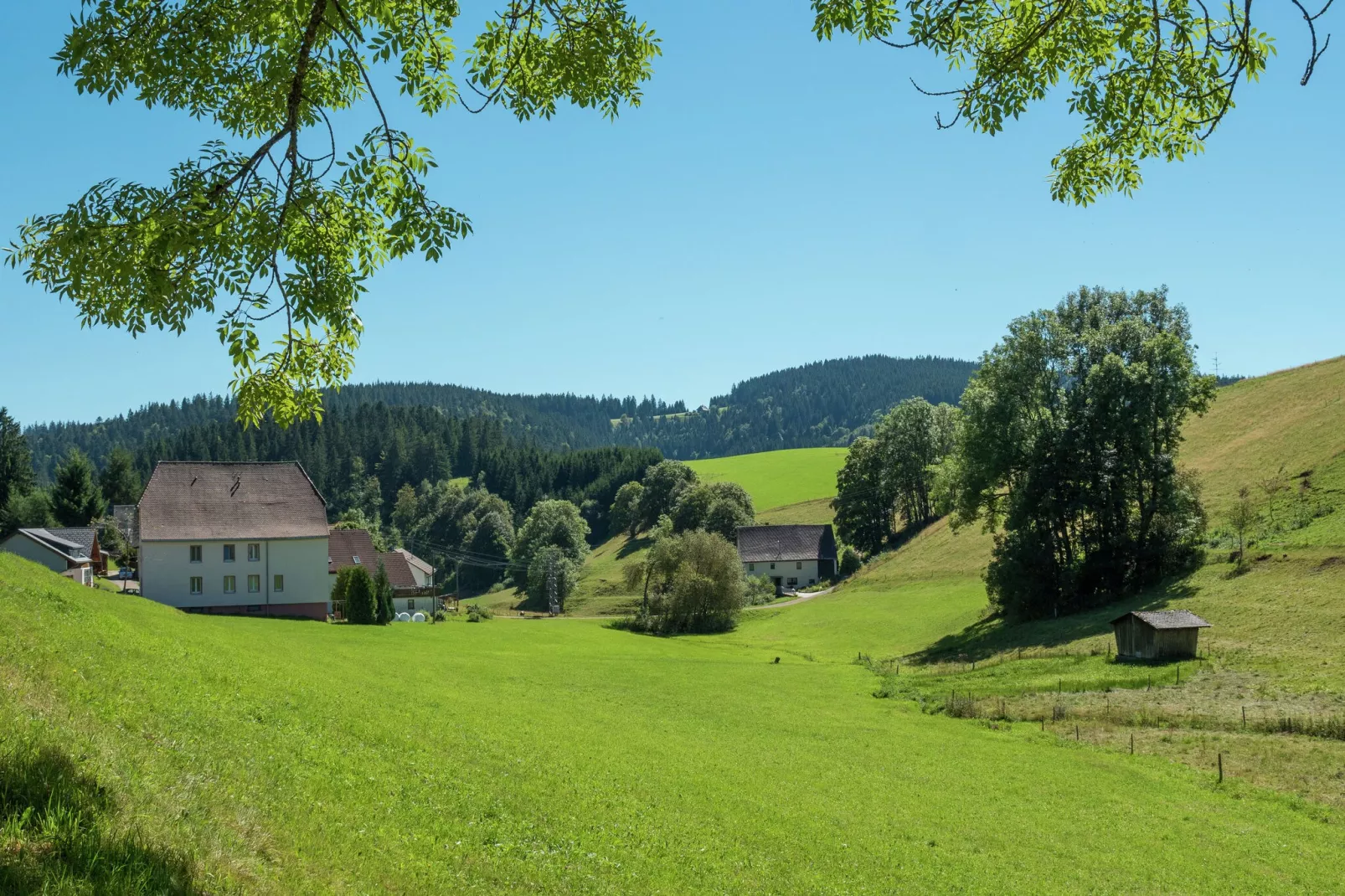 Neukirch-Uitzicht zomer