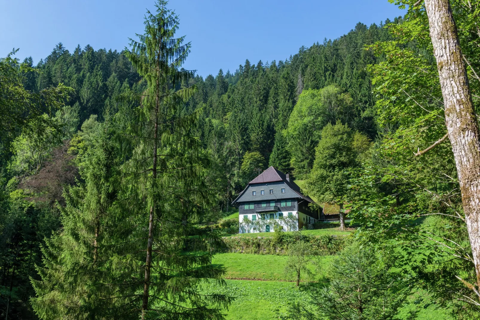 Urlaub im Schwarzwald-Gebieden zomer 5km