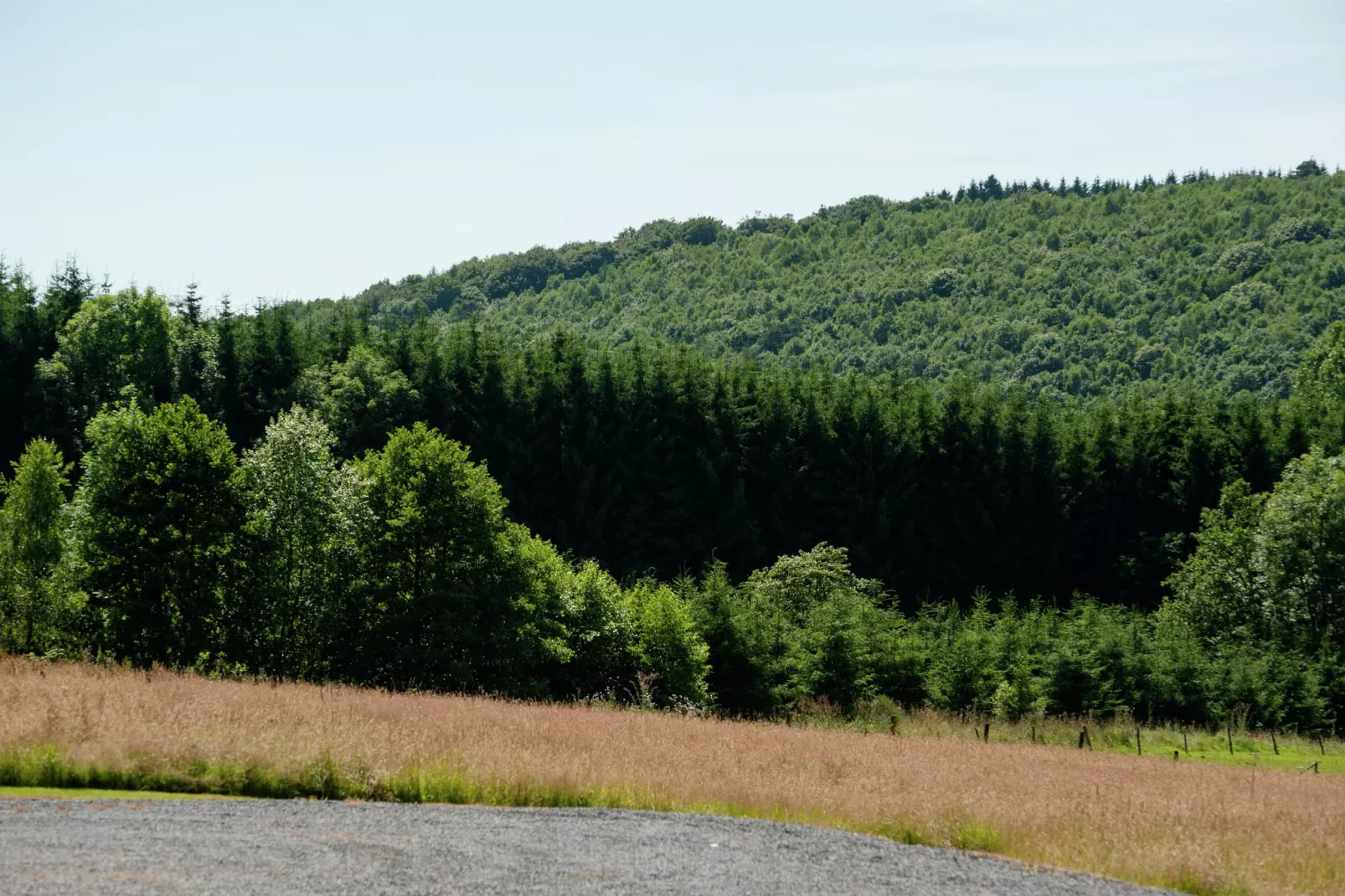 Aux Fleurs des Champs-Gebieden zomer 1km