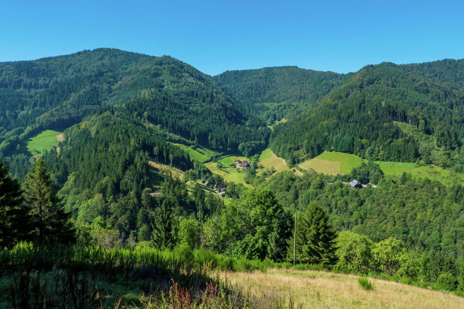 Gütenbach-Gebieden zomer 1km