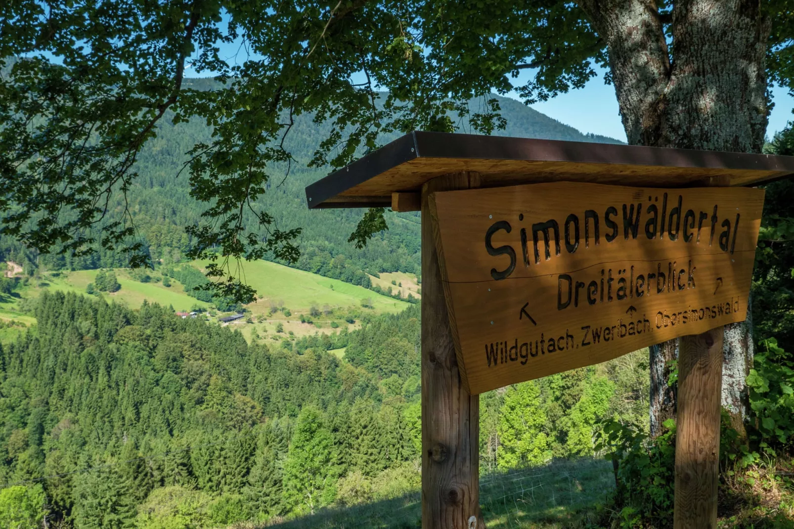 Gütenbach-Gebieden zomer 5km