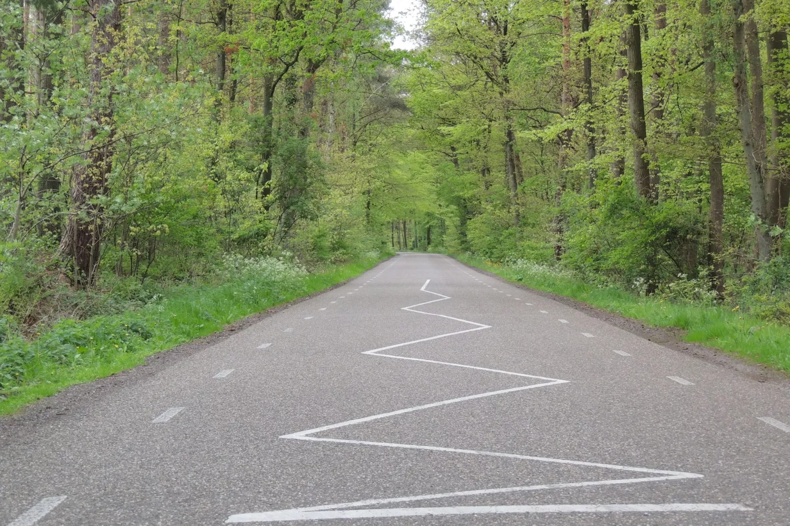 Landleven de Wyckel 7-Gebieden zomer 5km