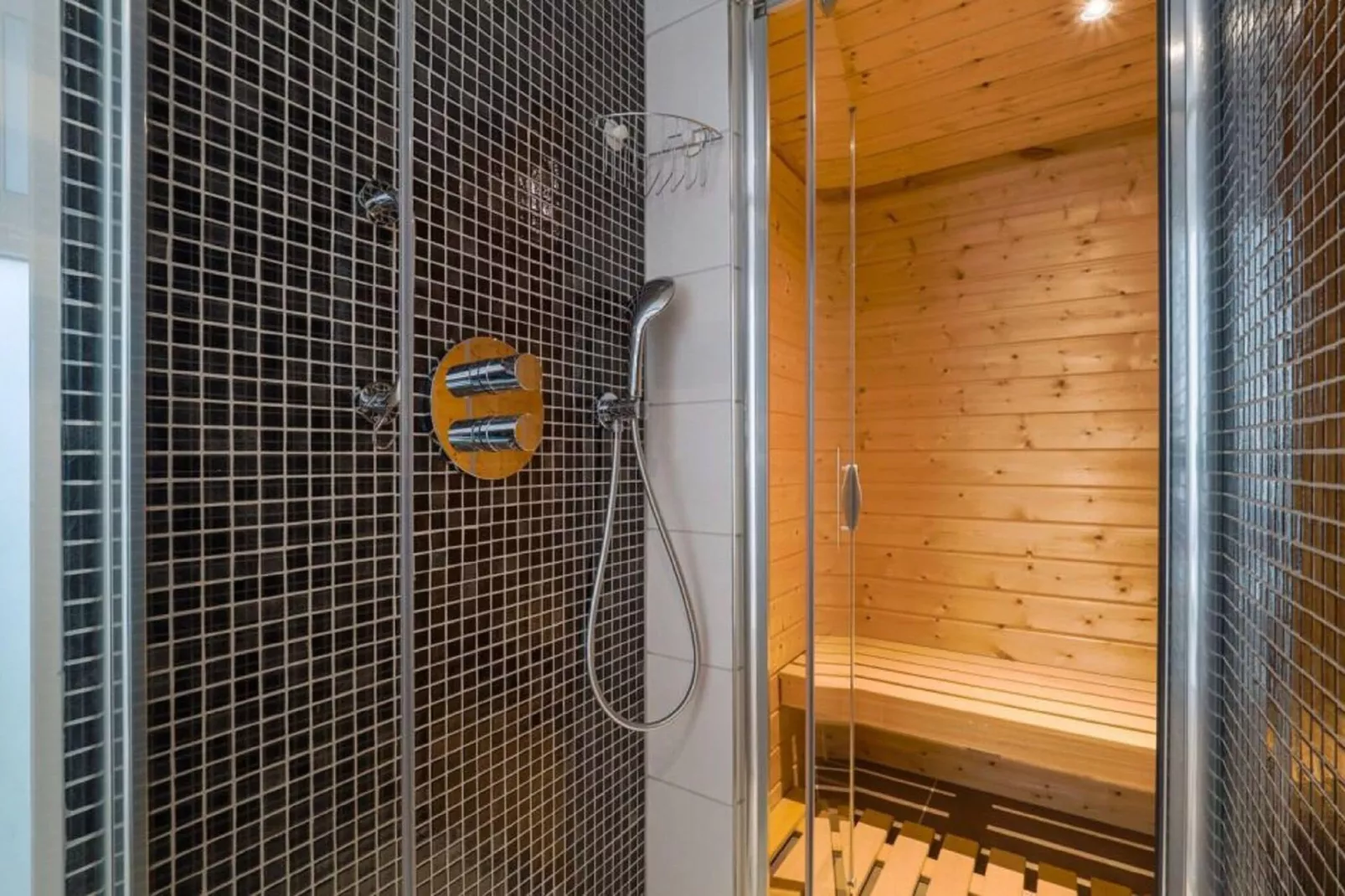 Fraai chalet met sauna, gelegen aan de bosrand-Badkamer