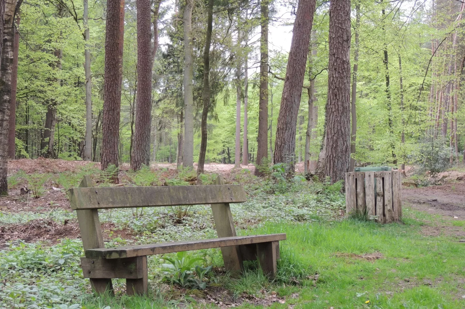 Fraai chalet met sauna, gelegen aan de bosrand-Gebieden zomer 1km