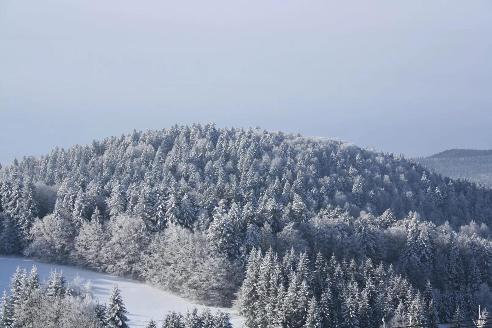 Herrischried-Gebied winter 1km