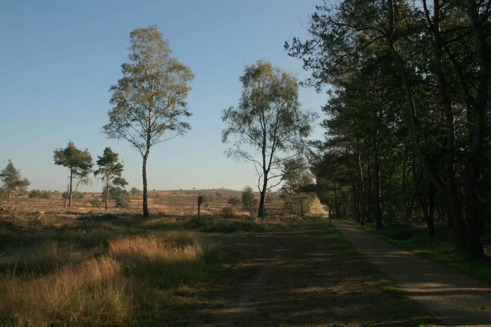 Villa Luttenberg-Gebieden zomer 1km