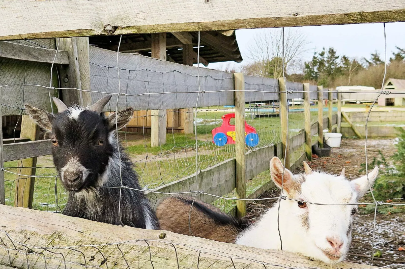 6 persoons vakantie huis in Struer-By Traum-Uitzicht