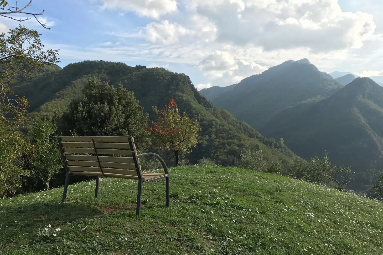 Boccabugia del Colle-Uitzicht zomer