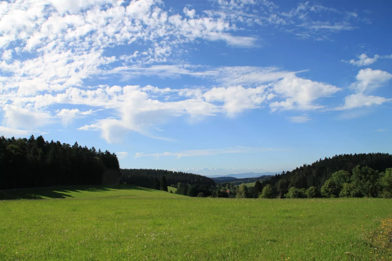 Herrischried-Gebieden zomer 5km