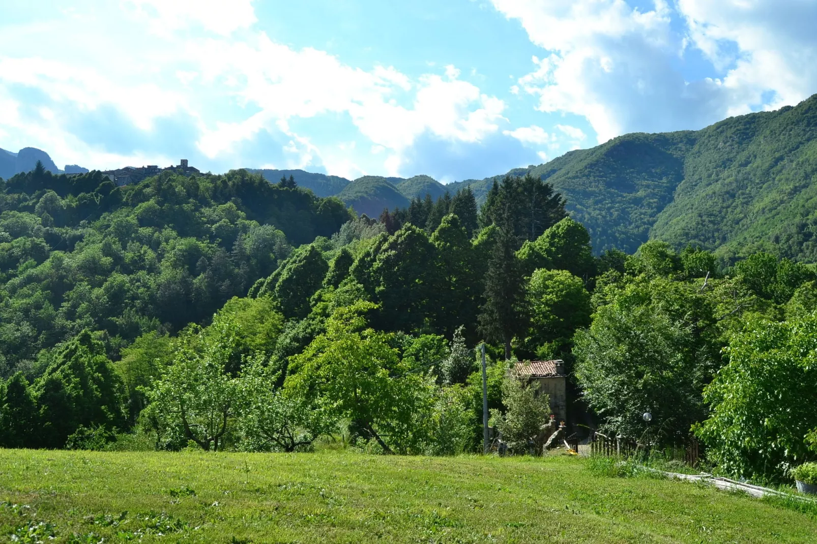 Boccabugia del Colle-Gebieden zomer 1km