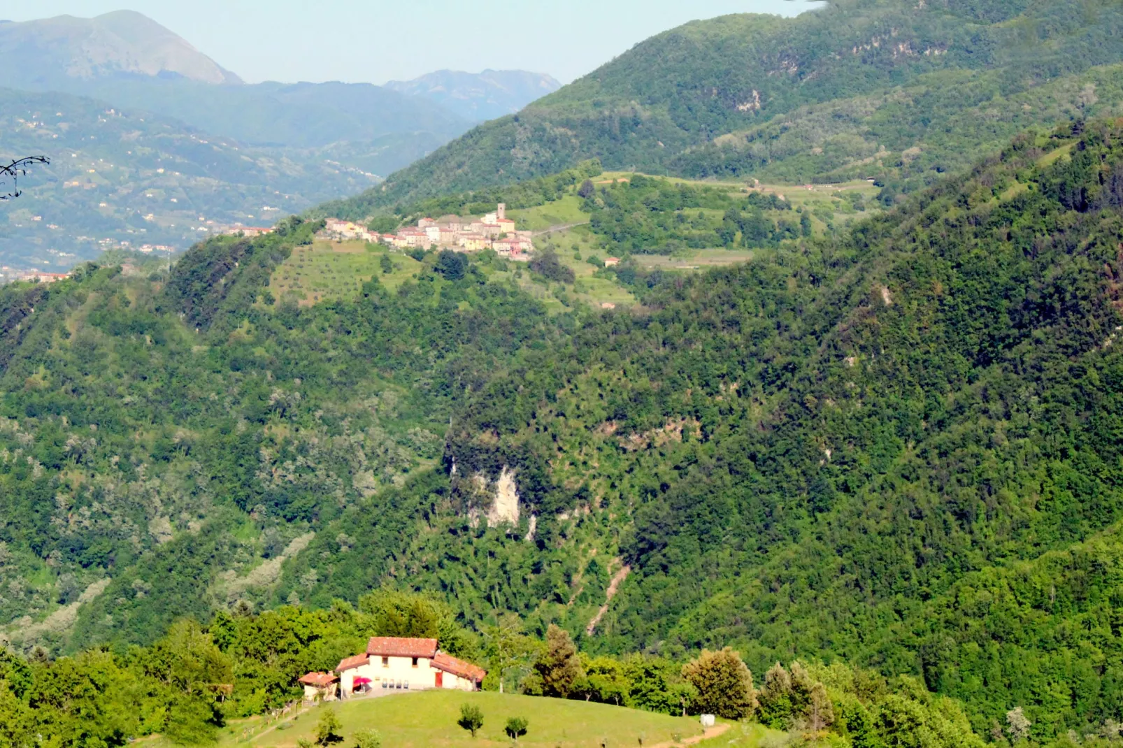 Boccabugia del Colle-Gebieden zomer 1km