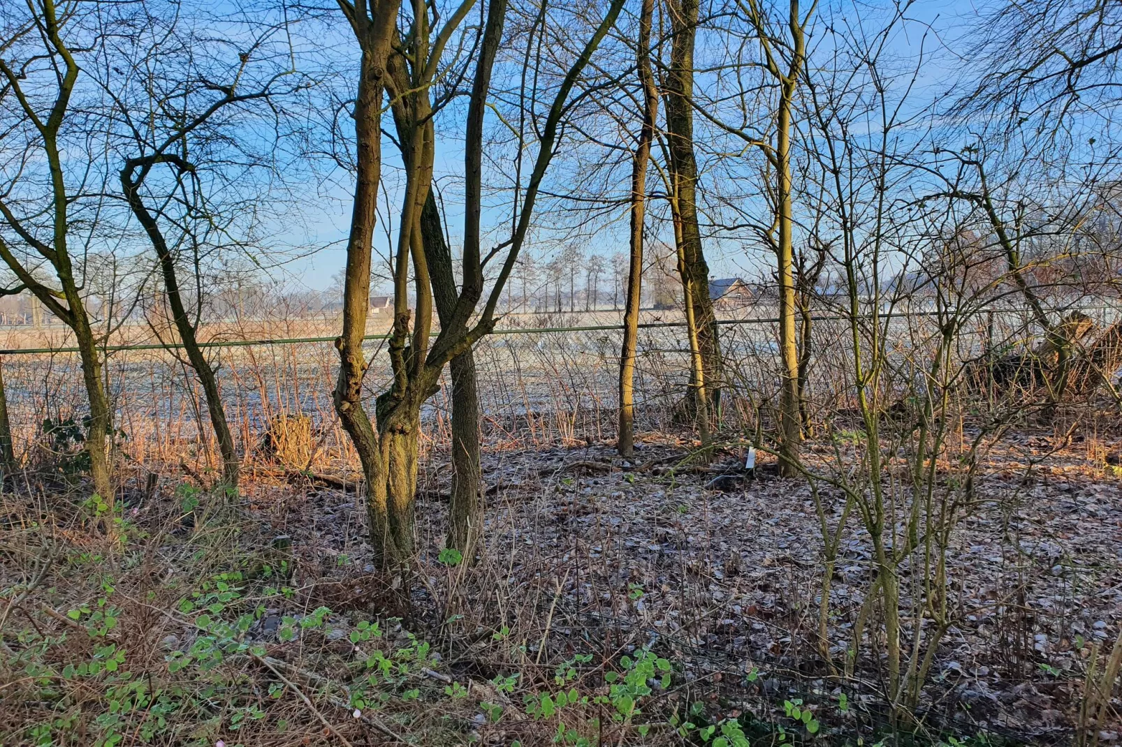 Zonnenberg 34-Gebieden zomer 1km