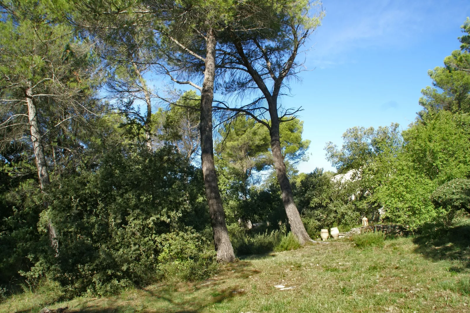 Crillon le Brave-Tuinen zomer