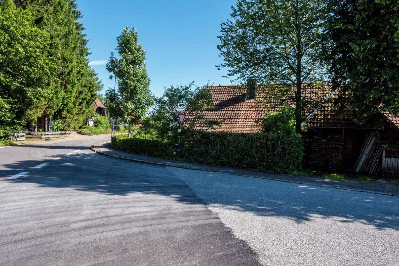 Schwarzwald-Gebieden zomer 1km