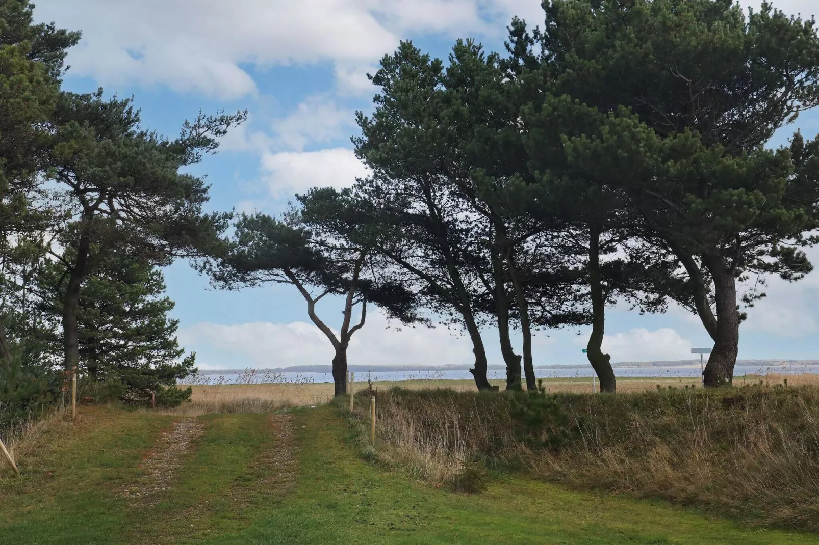6 persoons vakantie huis in Blåvand-Waterzicht