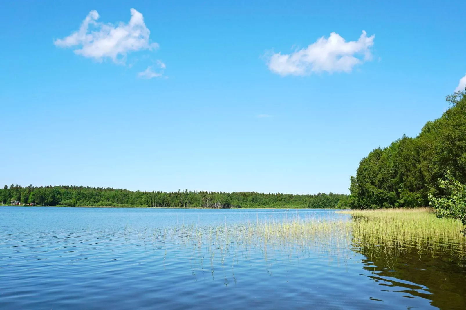 4 persoons vakantie huis in RIMBO-Buitenlucht