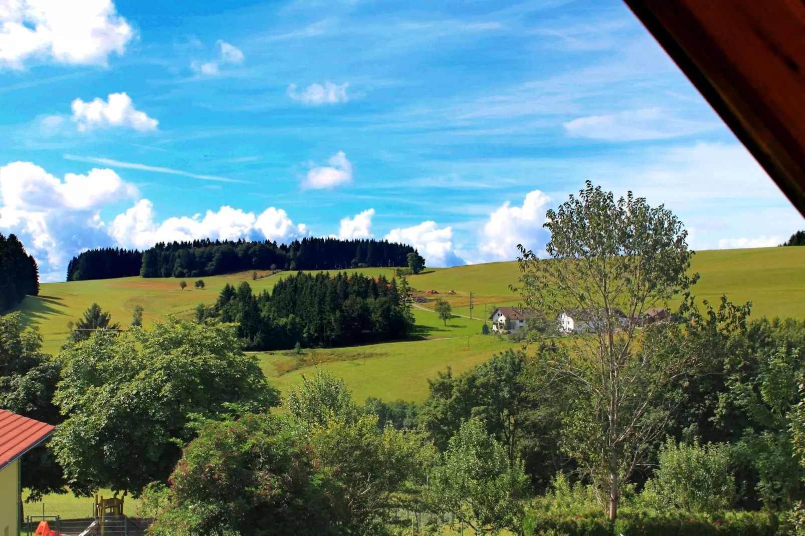 Schwarzwald-Uitzicht zomer