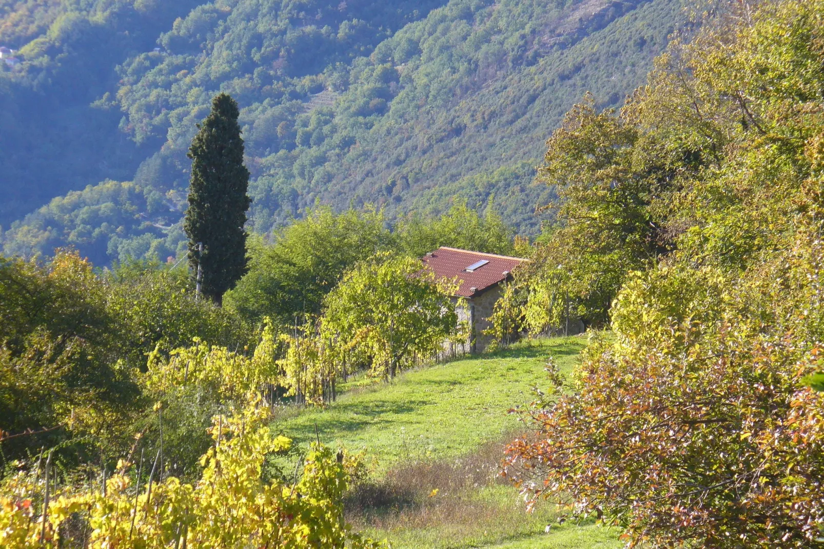 Val Di Lima Romantica-Tuinen zomer