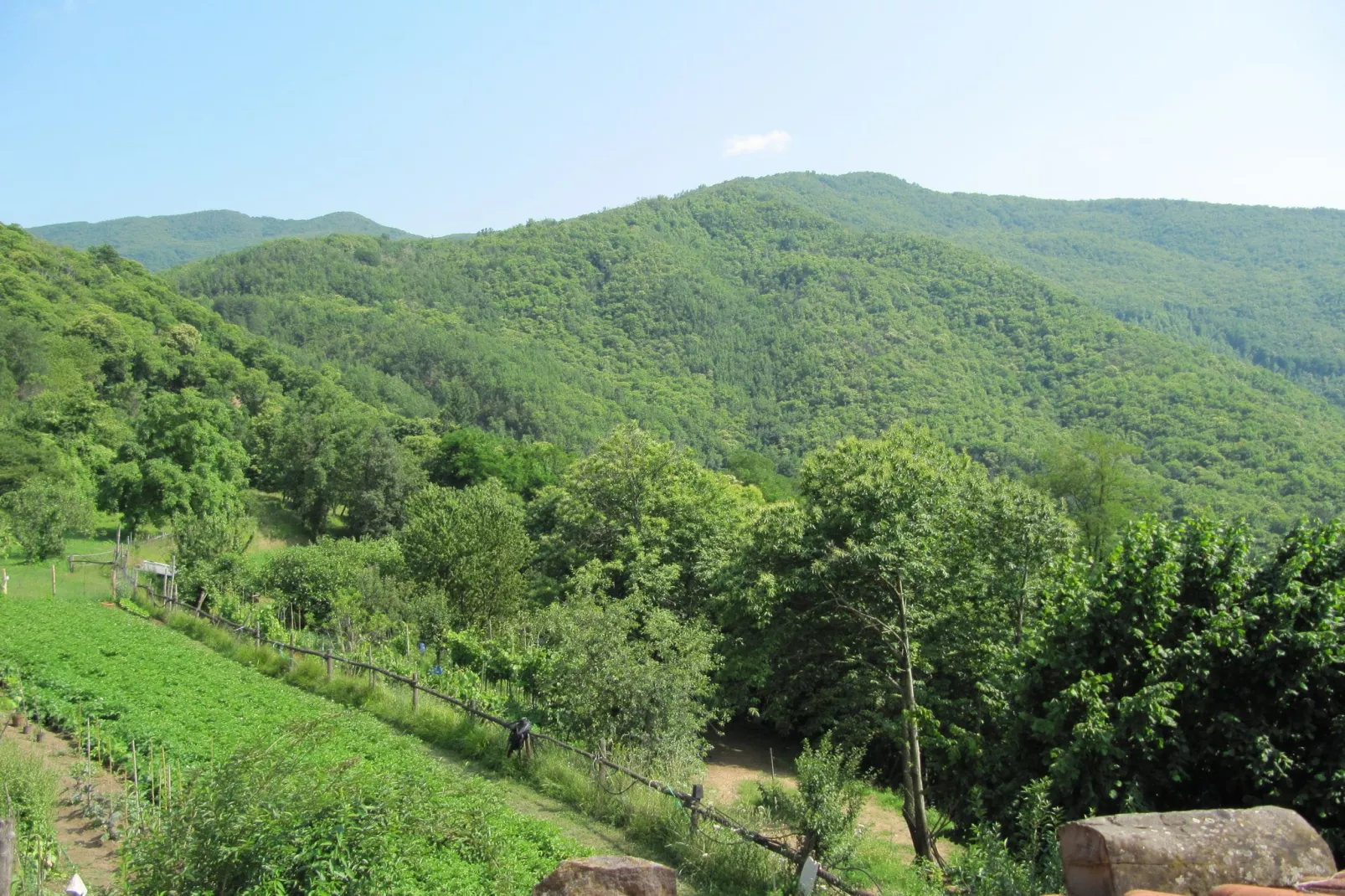 Val Di Lima Romantica-Uitzicht zomer