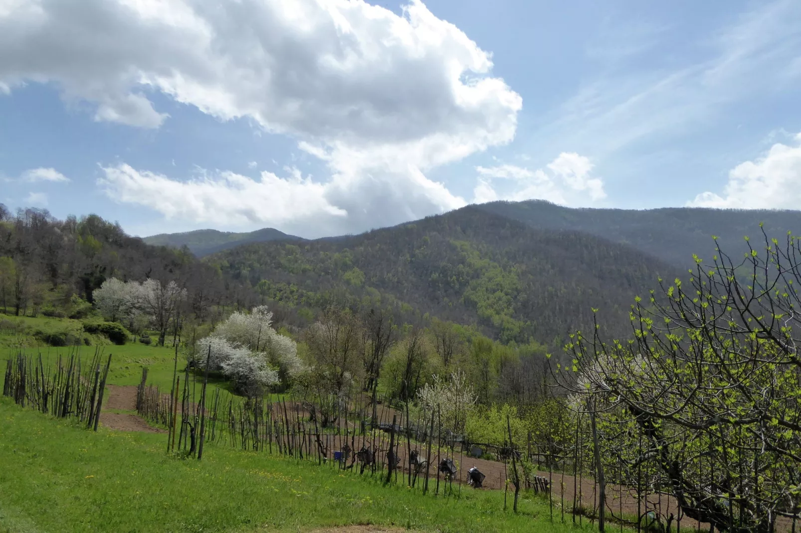 Val Di Lima Romantica-Uitzicht zomer