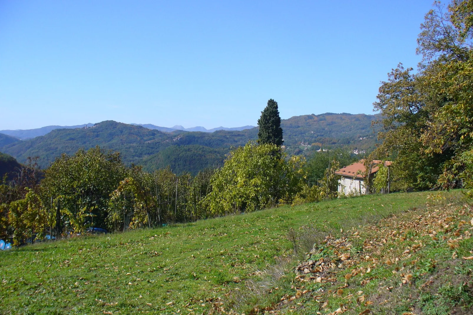 Val Di Lima Romantica-Gebieden zomer 1km