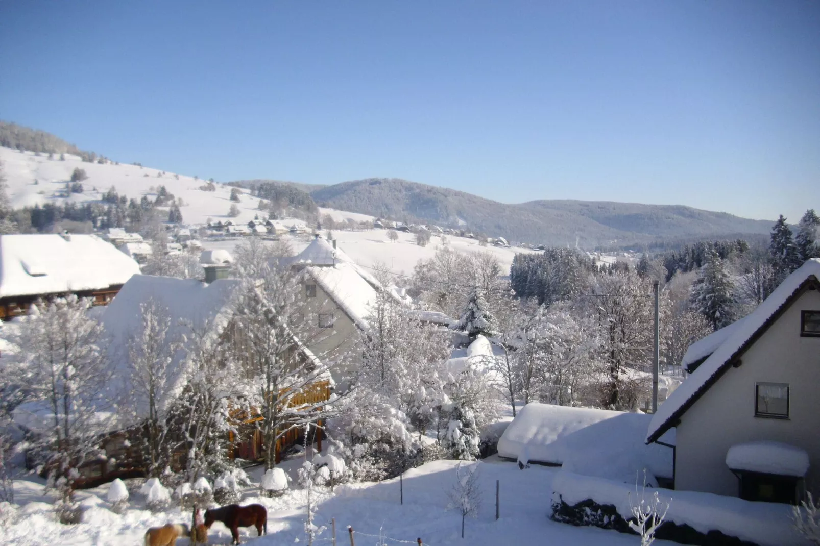 Wannenhof-Uitzicht winter