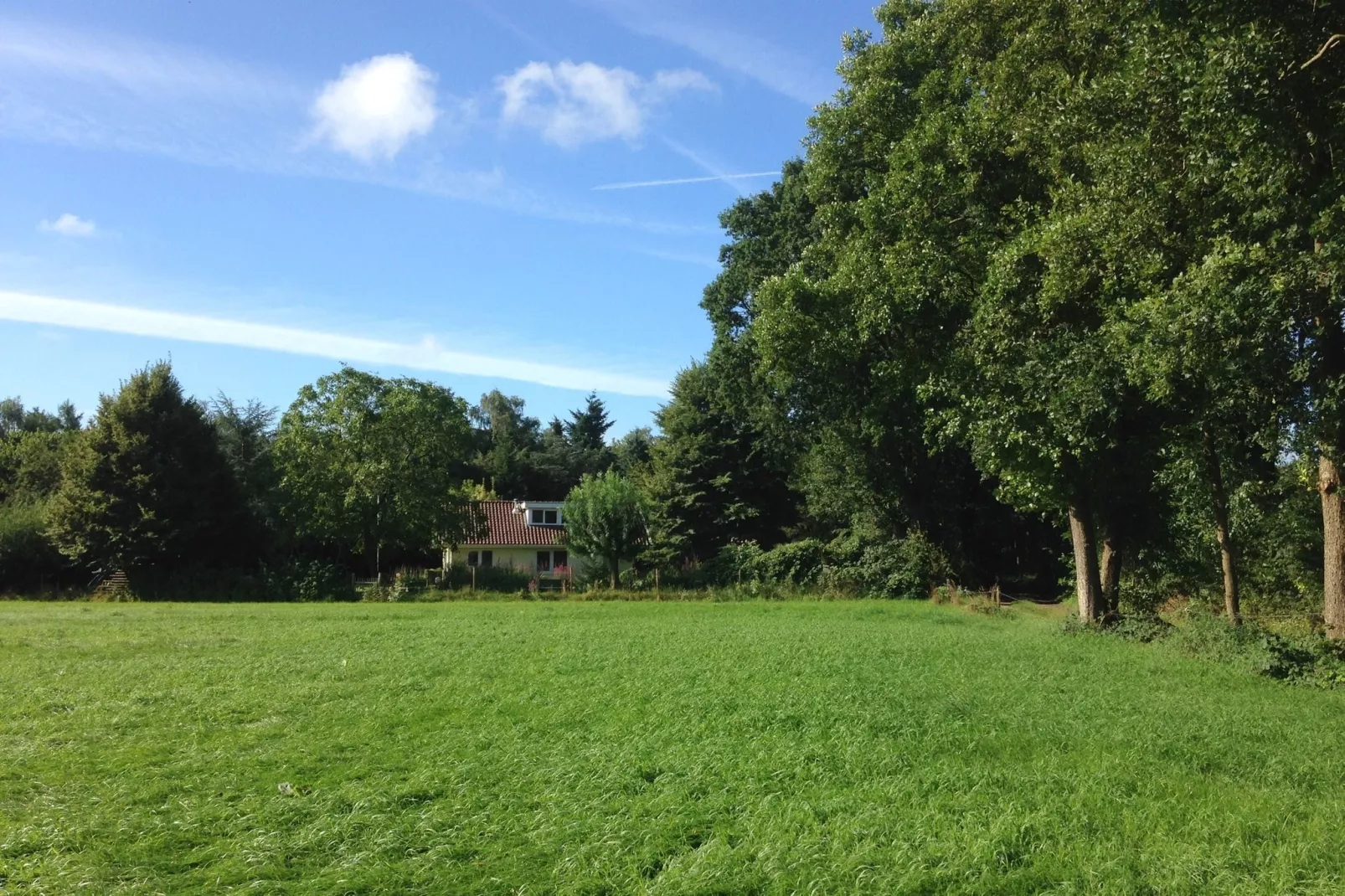 Kempernoel-Gebieden zomer 1km