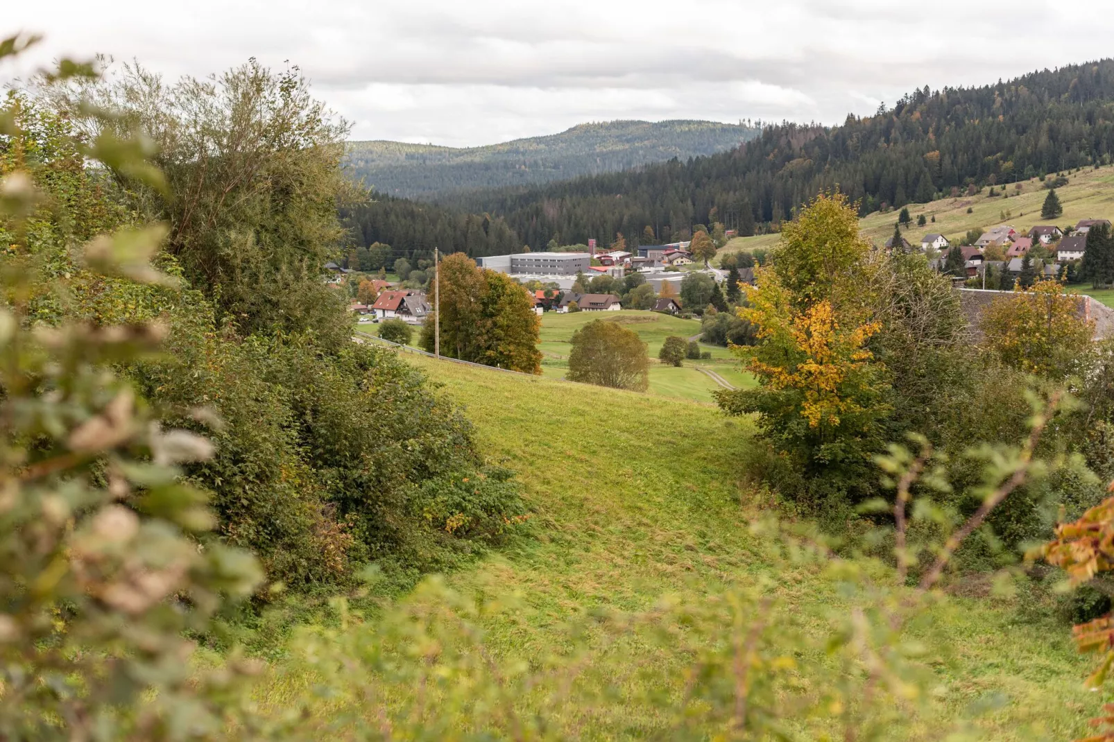 Bernau-Tuinen zomer