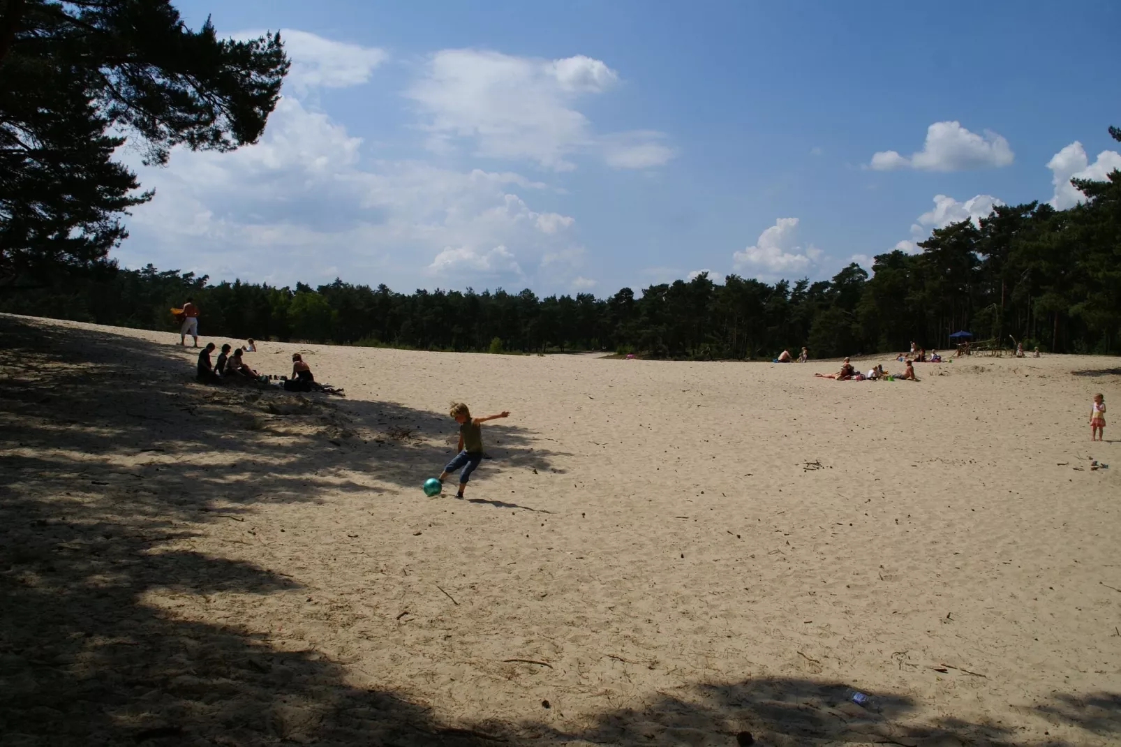 Buitenplaats Berg en Bos nr 50-Gebieden zomer 1km