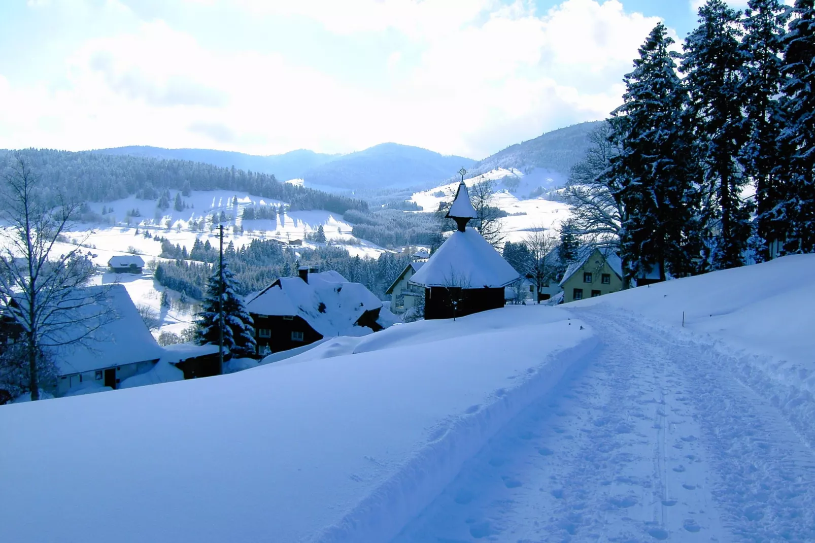 Bernau-Gebied winter 5km