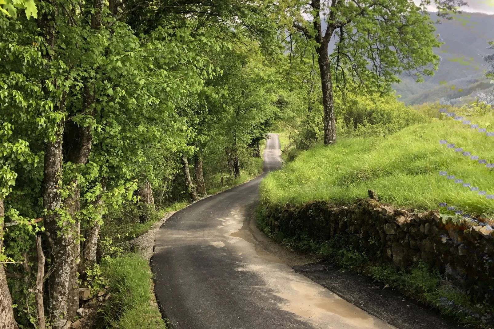 Vistaverde-Gebieden zomer 20km