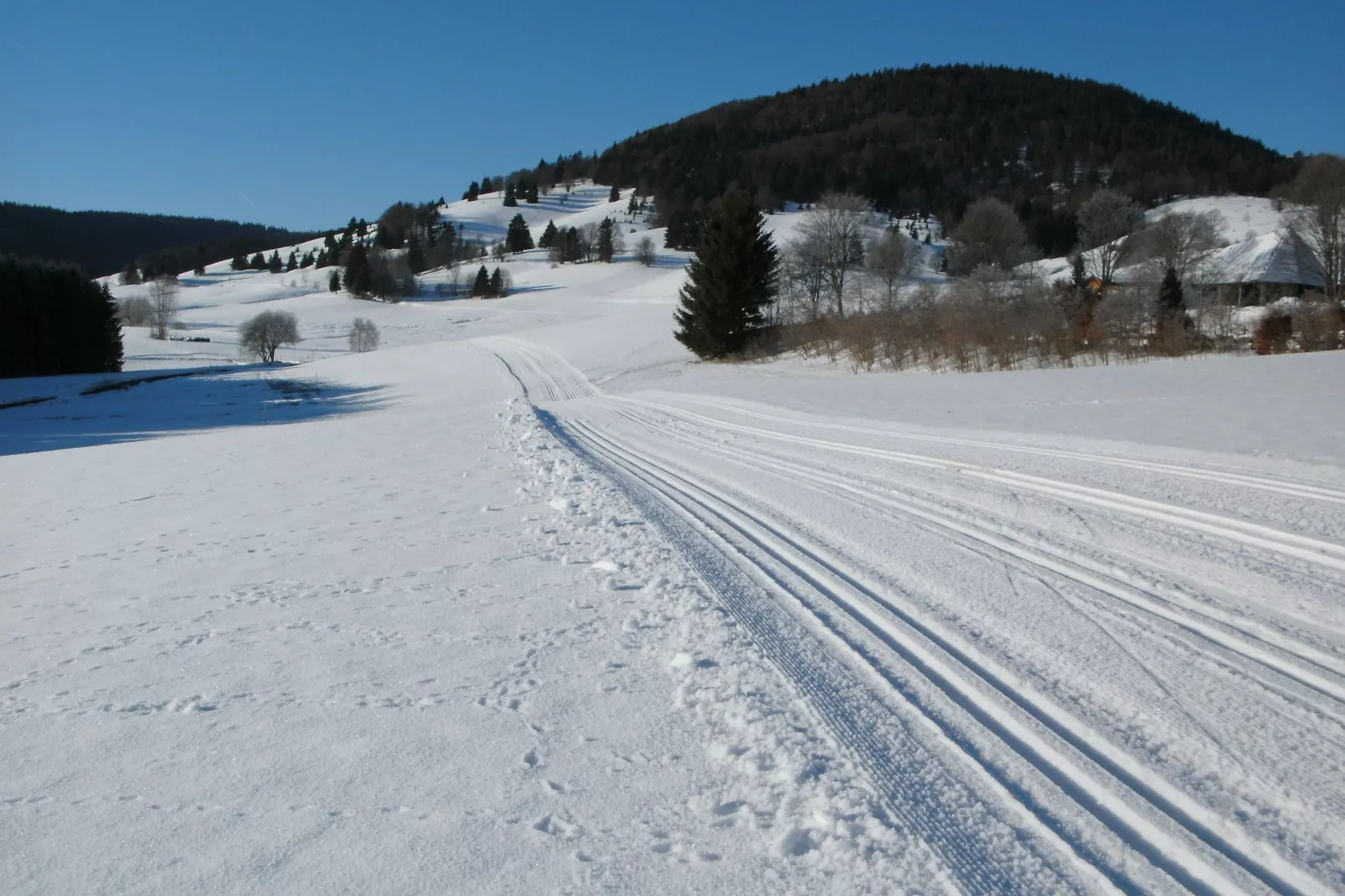 Wannenhof-Gebied winter 1km