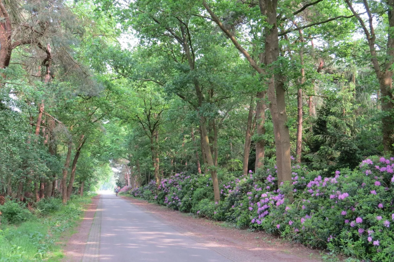 Buitenplaats Berg en Bos nummer 42-Gebieden zomer 1km